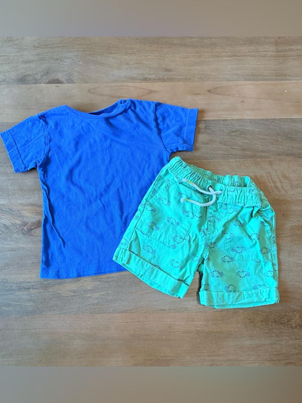 ⚡️3/$20 Boys' Blue Tee & Green Shorts Set